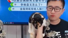 秀才侃娱乐娱乐圈吃瓜,娱乐圈吃瓜大揭秘，笑料百出！